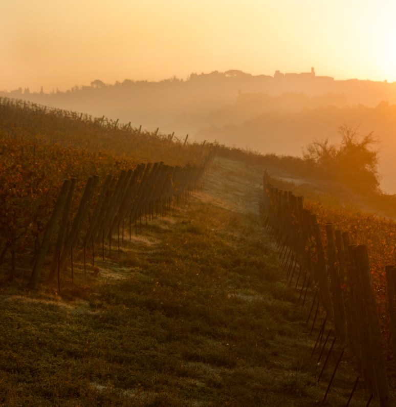 Break of a New Day on Palaia Hills