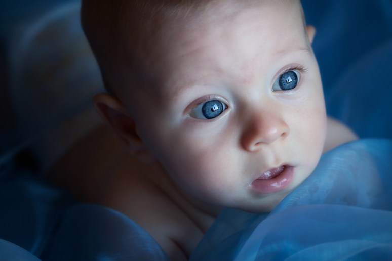 LUCA -little models grow up-