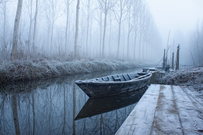 Heart-warming Frost - dedicated