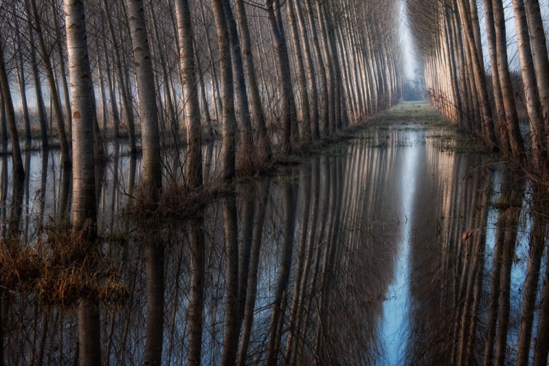 Un ultimo sguardo - Fucecchio