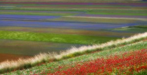 ST - mi basta per ricordare